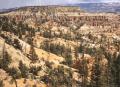 chevaux  bryce canyon.jpg